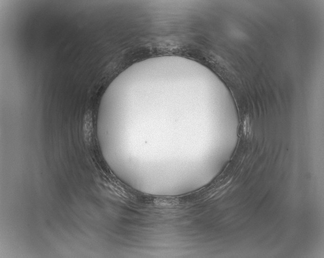 X0000072511299200608111643