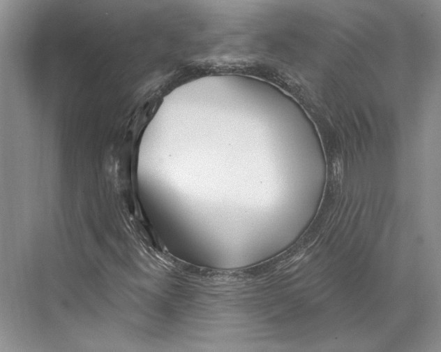 X0000072511300200608111643