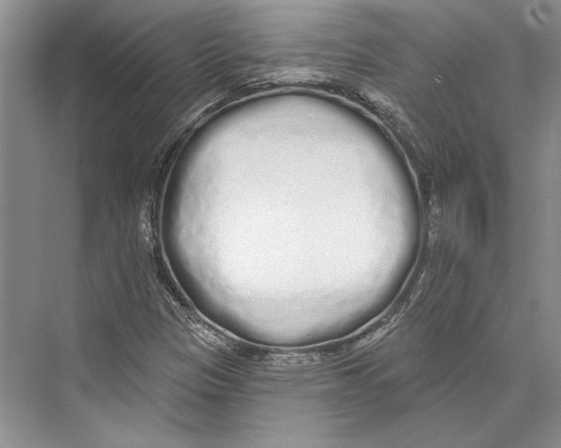 X0000072511305200608111644