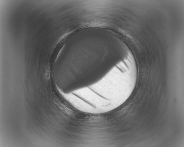 X0000072511306200608111644