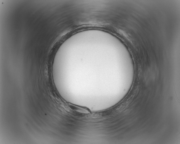 X0000072511307200608111644
