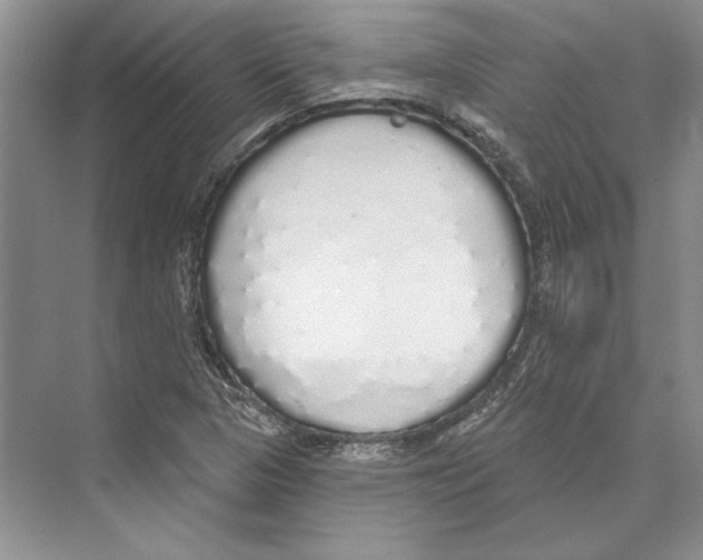 X0000072511313200608111644