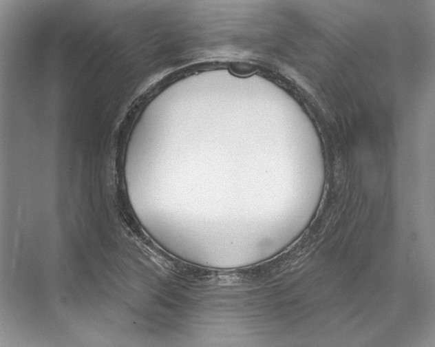 X0000072511315200608111644