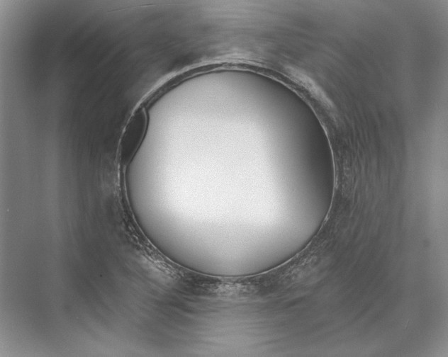 X0000072511316200608111644