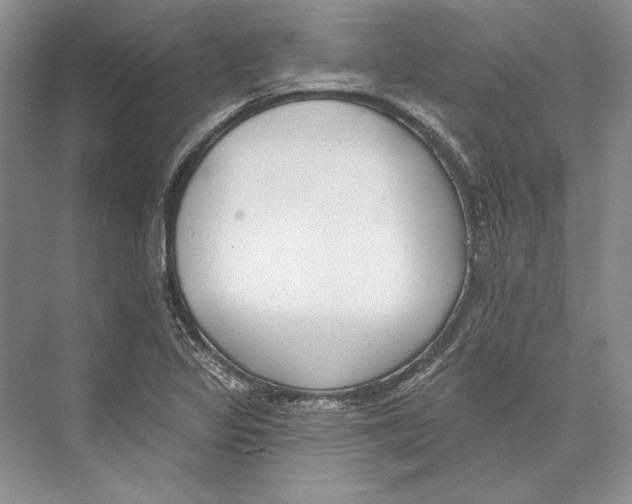 X0000072511317200608111644