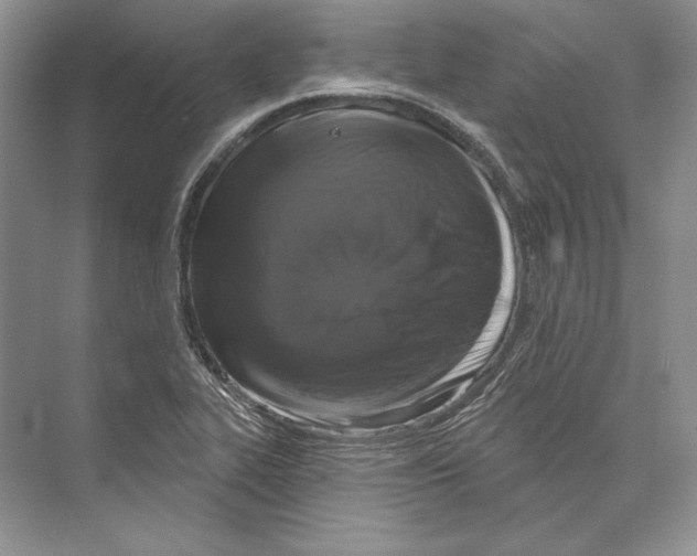 X0000072511319200608111644