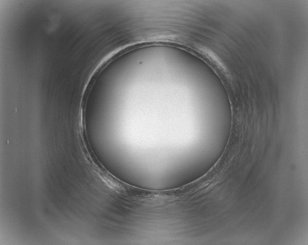 X0000072511324200608111644