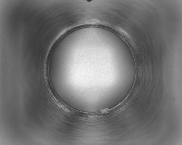 X0000072511326200608111644
