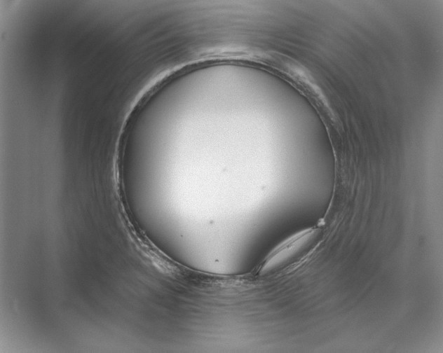 X0000072511328200608111644