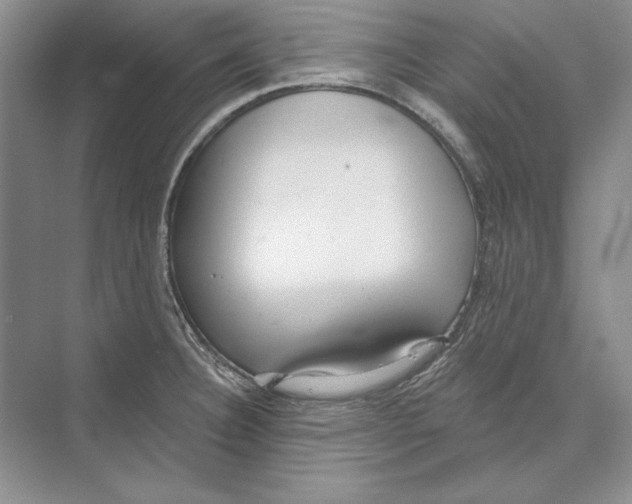 X0000072511332200608111644