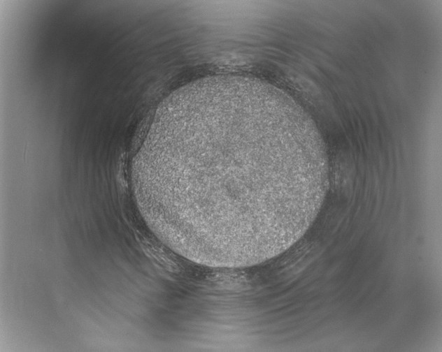 X0000072511346200608111643