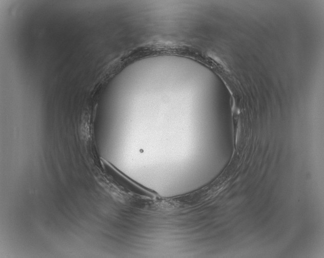 X0000072511348200608111643