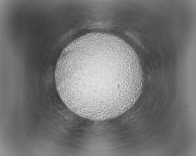X0000072511350200608111643
