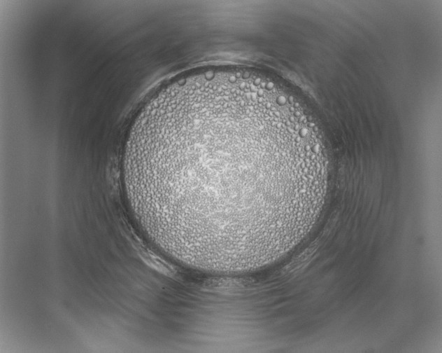 X0000072511355200608111643