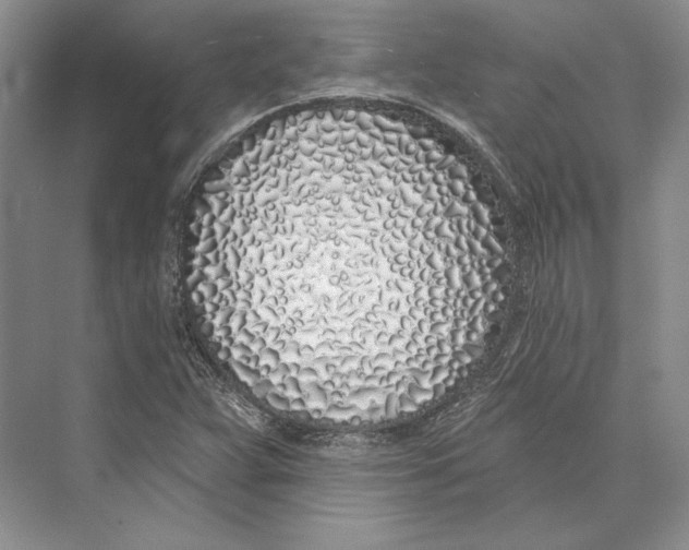 X0000072511359200608111643