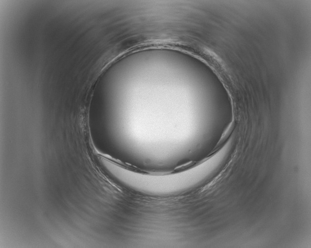 X0000072511361200608111643