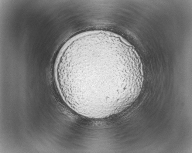 X0000072511362200608111643