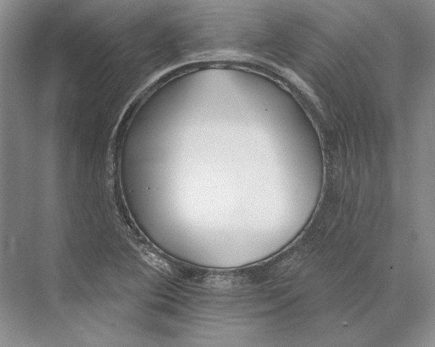 X0000072511364200608111643