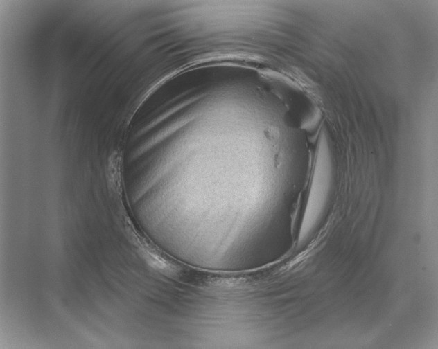 X0000072511369200608111643