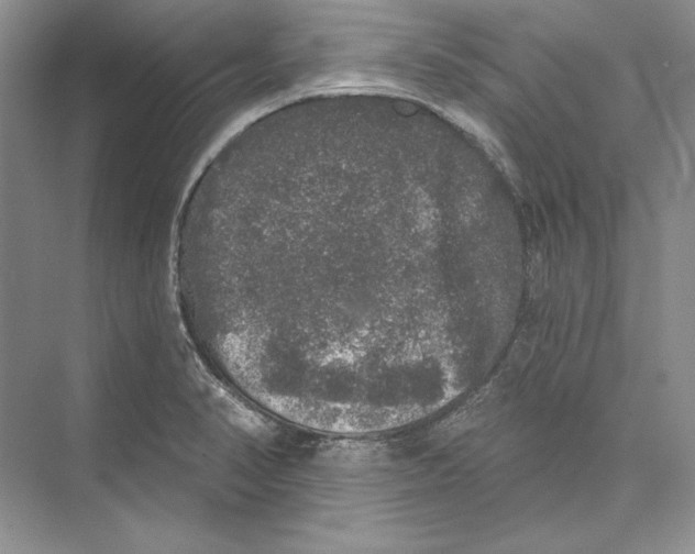 X0000072511374200608111643