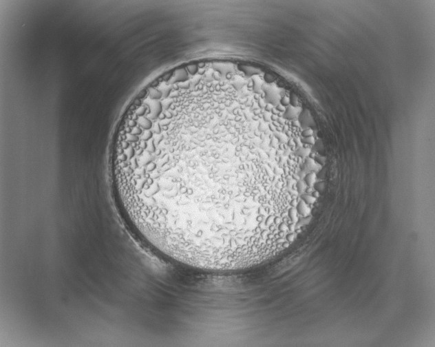 X0000072511375200608111643