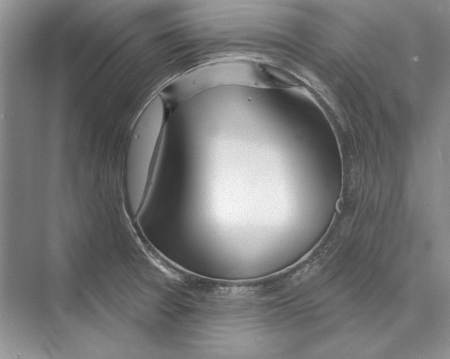 X0000072511377200608111643