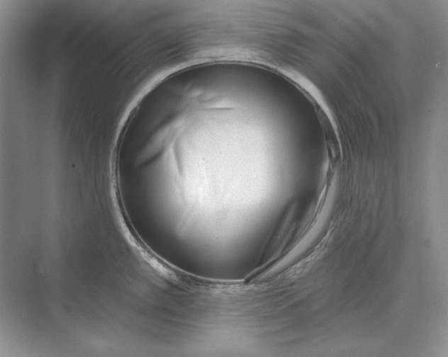 X0000072511389200608111643