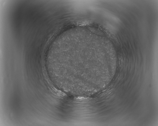 X0000072511393200608111642