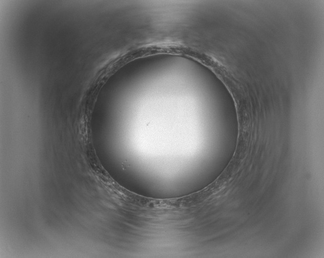 X0000072511398200608111642