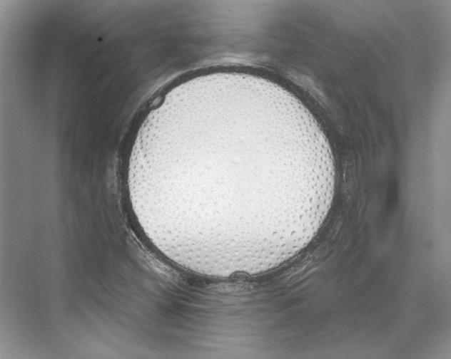 X0000072511404200608111642
