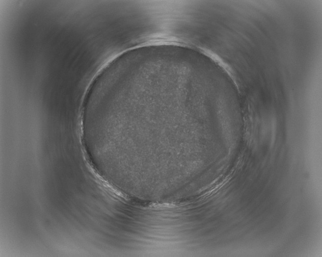 X0000072511415200608111642
