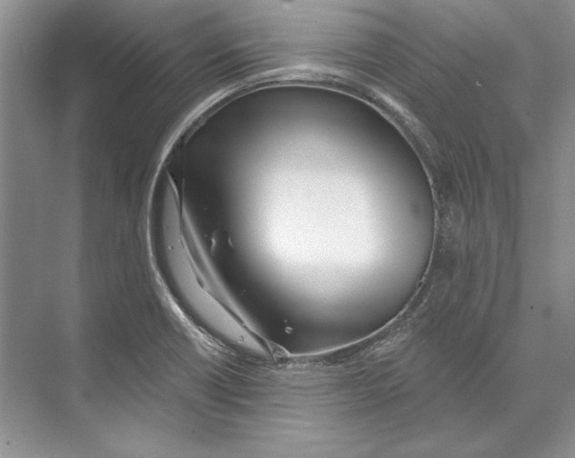 X0000072511418200608111642