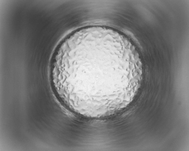 X0000072511424200608111642