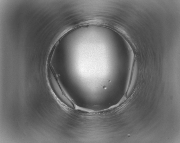 X0000072511426200608111642