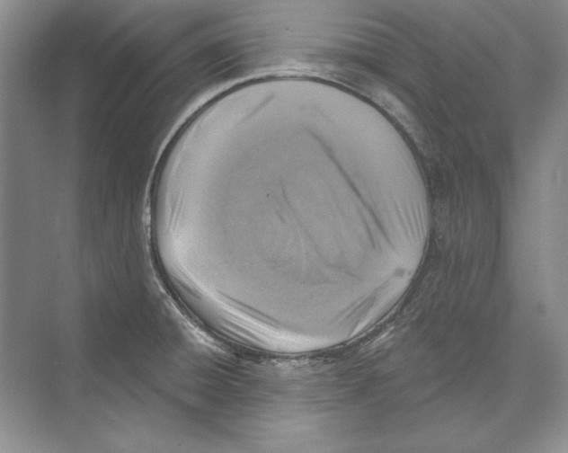 X0000072511428200608111642