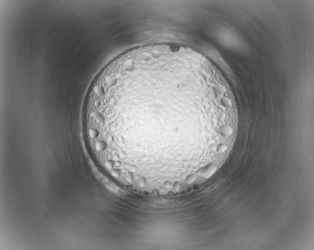 X0000072511439200608111643