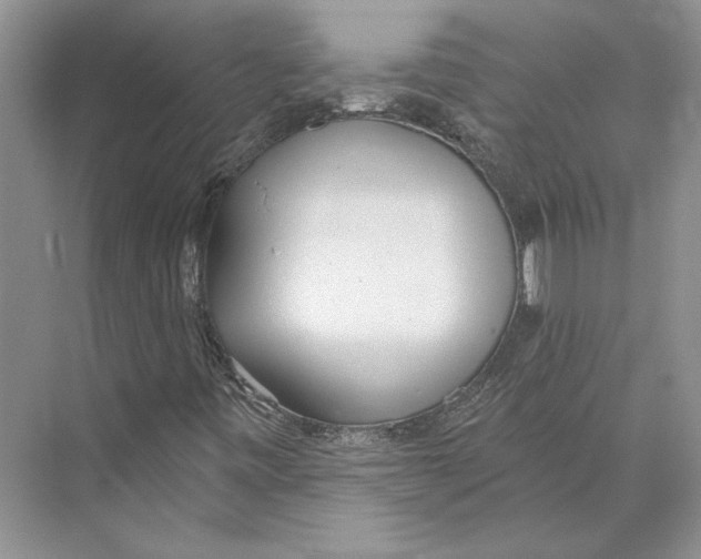 X0000072511443200608111642