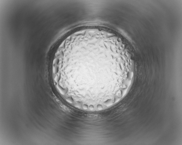 X0000072511456200608111641