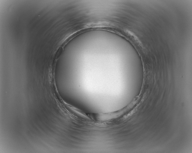 X0000072511457200608111641