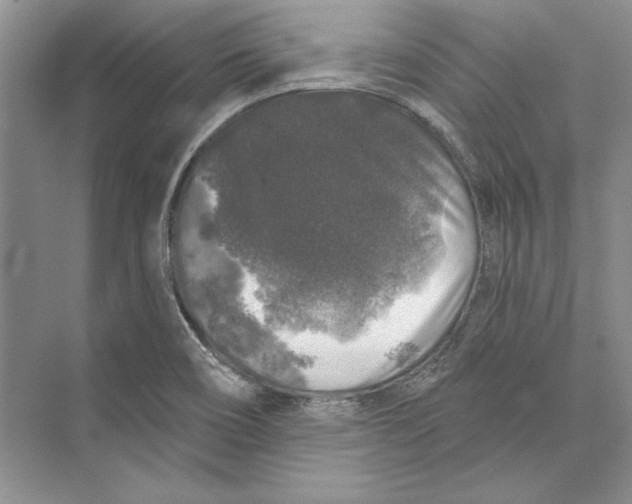X0000072511466200608111641