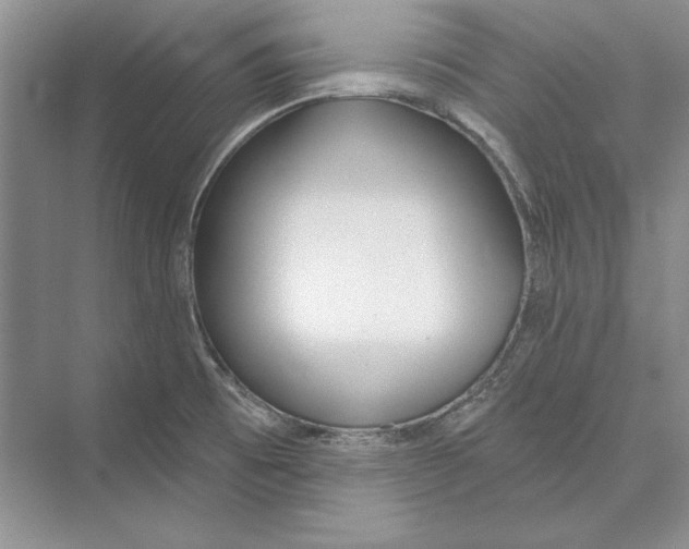 X0000072511473200608111641