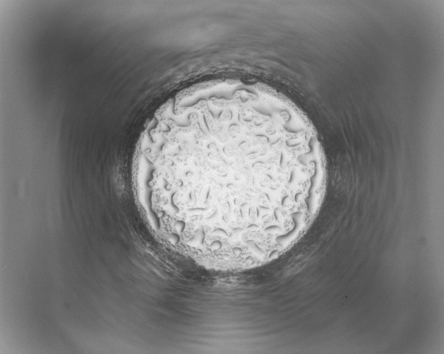 X0000072511490200608111640