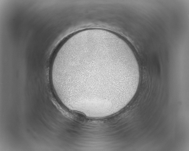 X0000072511503200608111640