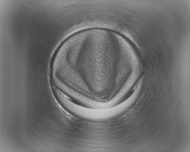 X0000072511508200608111640