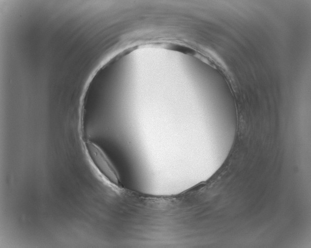 X0000072511528200608111641