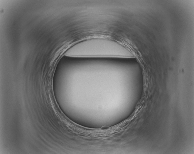 X0000072520001200607140949