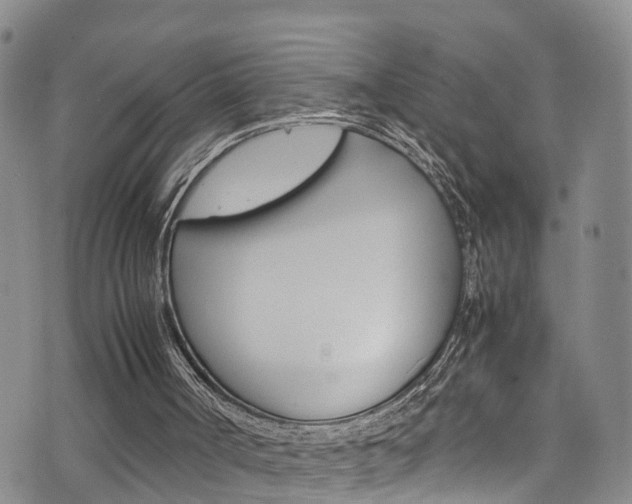 X0000072520002200607140949