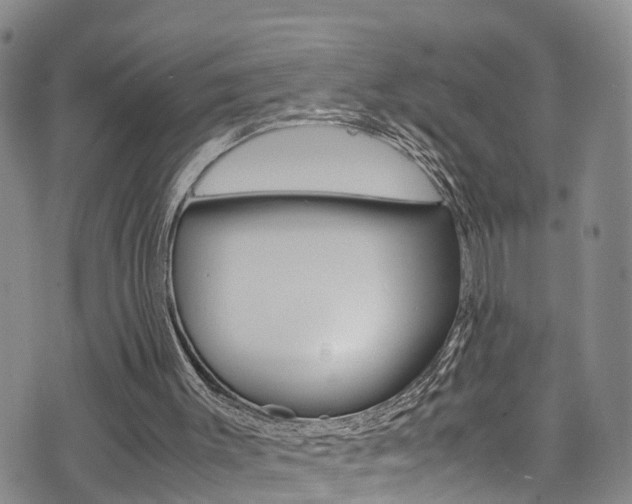 X0000072520003200607140949