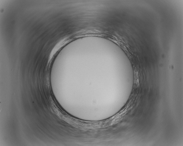 X0000072520004200607140949