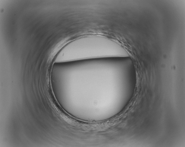 X0000072520005200607140949